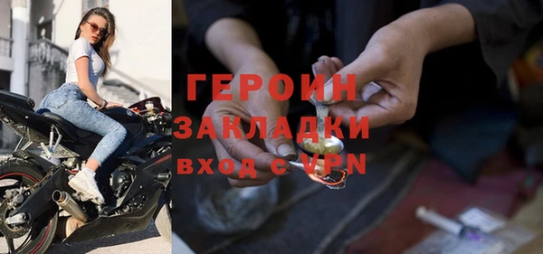 индика Новодвинск