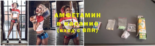 индика Новодвинск