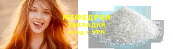 индика Новодвинск