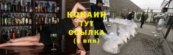 индика Новодвинск